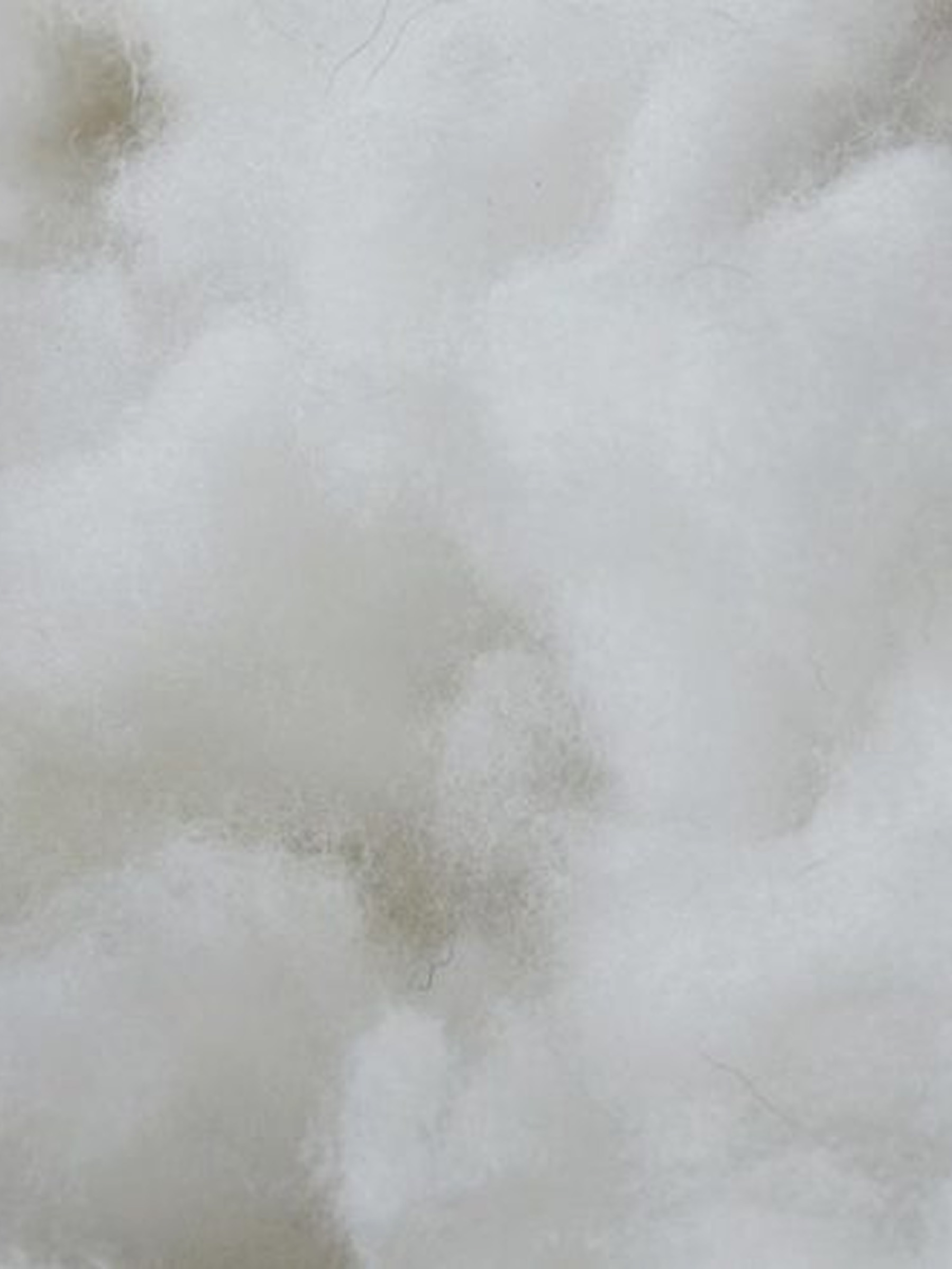 Extreme macro of soft white wool, filling the frame.