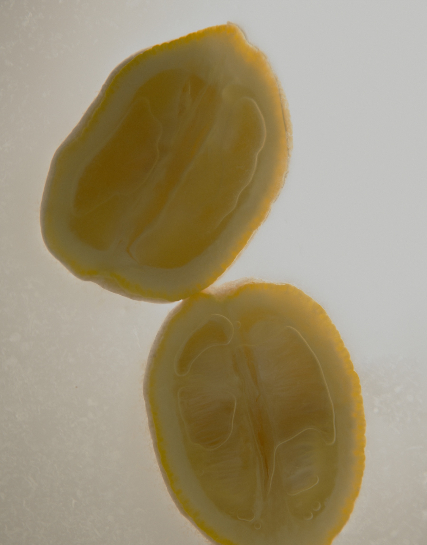 Two backlit lemon halves floating on a pale cream field.